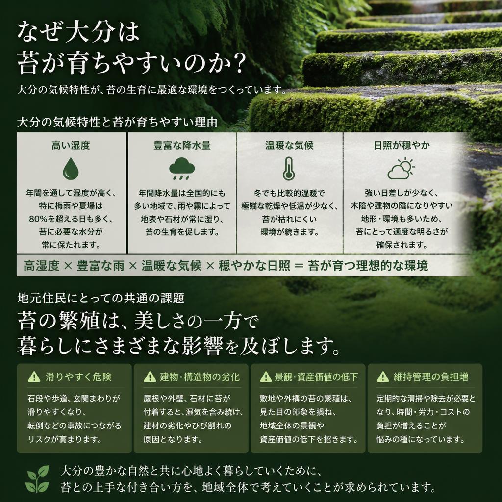大分の湿気と苔問題の密接な関係